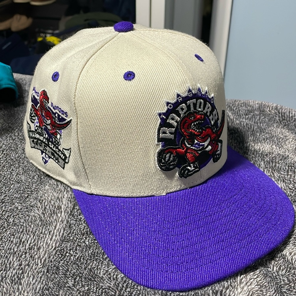 Toronto Raptors Hat